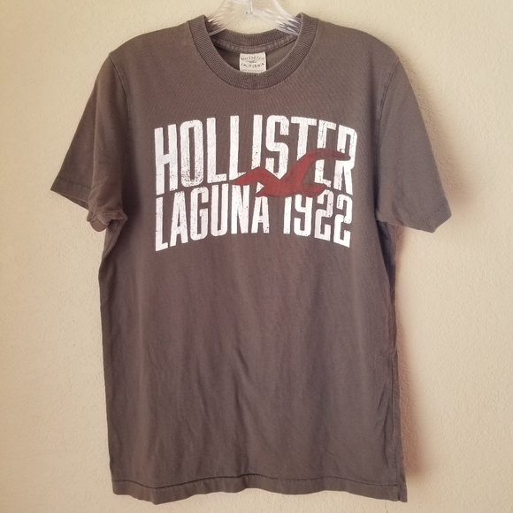 Hollister Other - Hollister Laguna 1922 bird sea gull graphic tee
